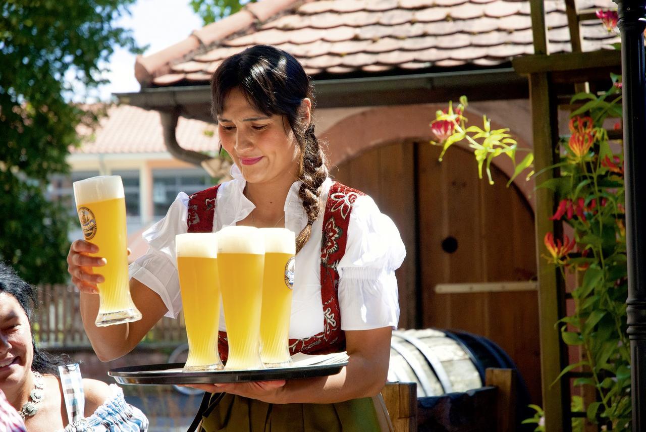 Landgasthaus Roemerhof 美因河畔奥伯恩堡 外观 照片
